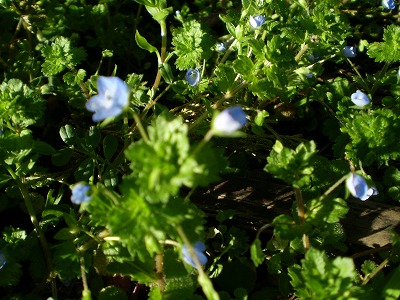 y-100311ȯ.jpg