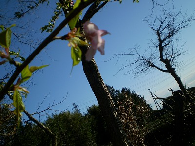 y-100311ȯ.jpg
