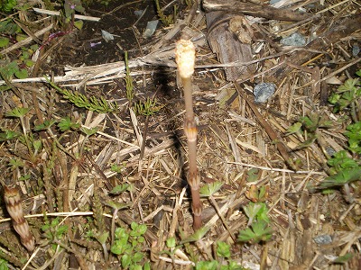 y-100311ȯ.jpg