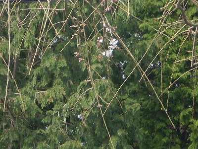 y-100315.jpg
