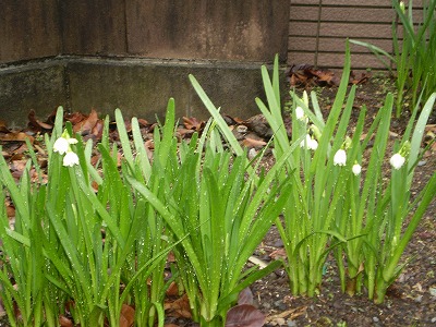 y-100316.jpg