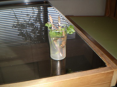 y-100326Ĥ.jpg