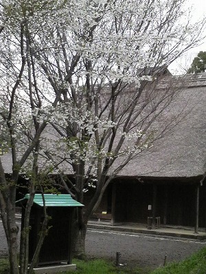 m-P1000502.jpg