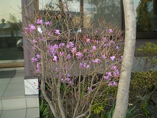 y-1004141.jpg