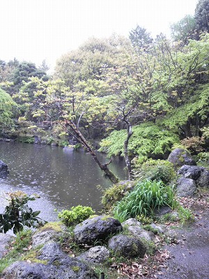 m-֥ 002.jpg