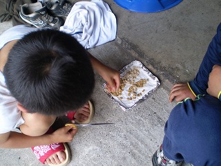y-100512䣱ݣ.jpg
