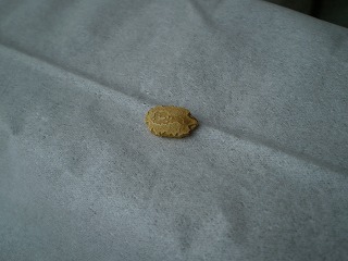 y-100512䣱ݣ.jpg