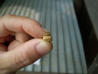 y-100512䣱ݣ.jpg