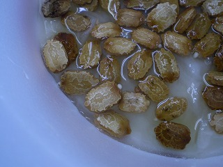 y-100514䣲ݣ.jpg