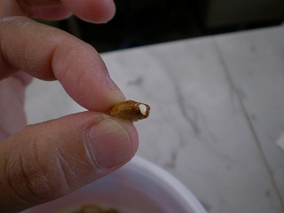 y-100514䣲ݣ.jpg