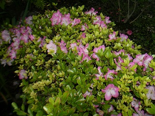 y-100617ĤĤ.jpg