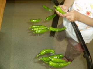y-100712Ȥ.jpg
