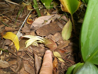 y-100722ߥ祦.jpg