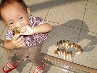 y-100722ߥ祦.jpg
