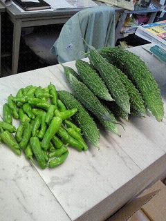 y-220803䤯.jpg