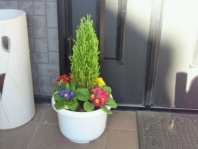 y-101225ꥹޥ.jpg