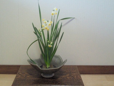 y-110308.jpg