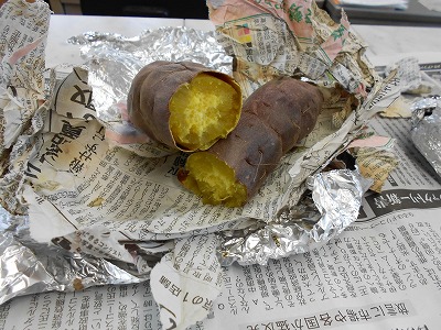y-120120Ƥ.jpg