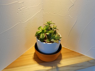 y-120410˥å5.jpg