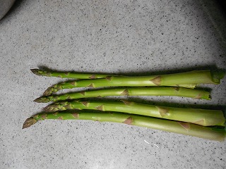 y-120518ѥ飲.jpg