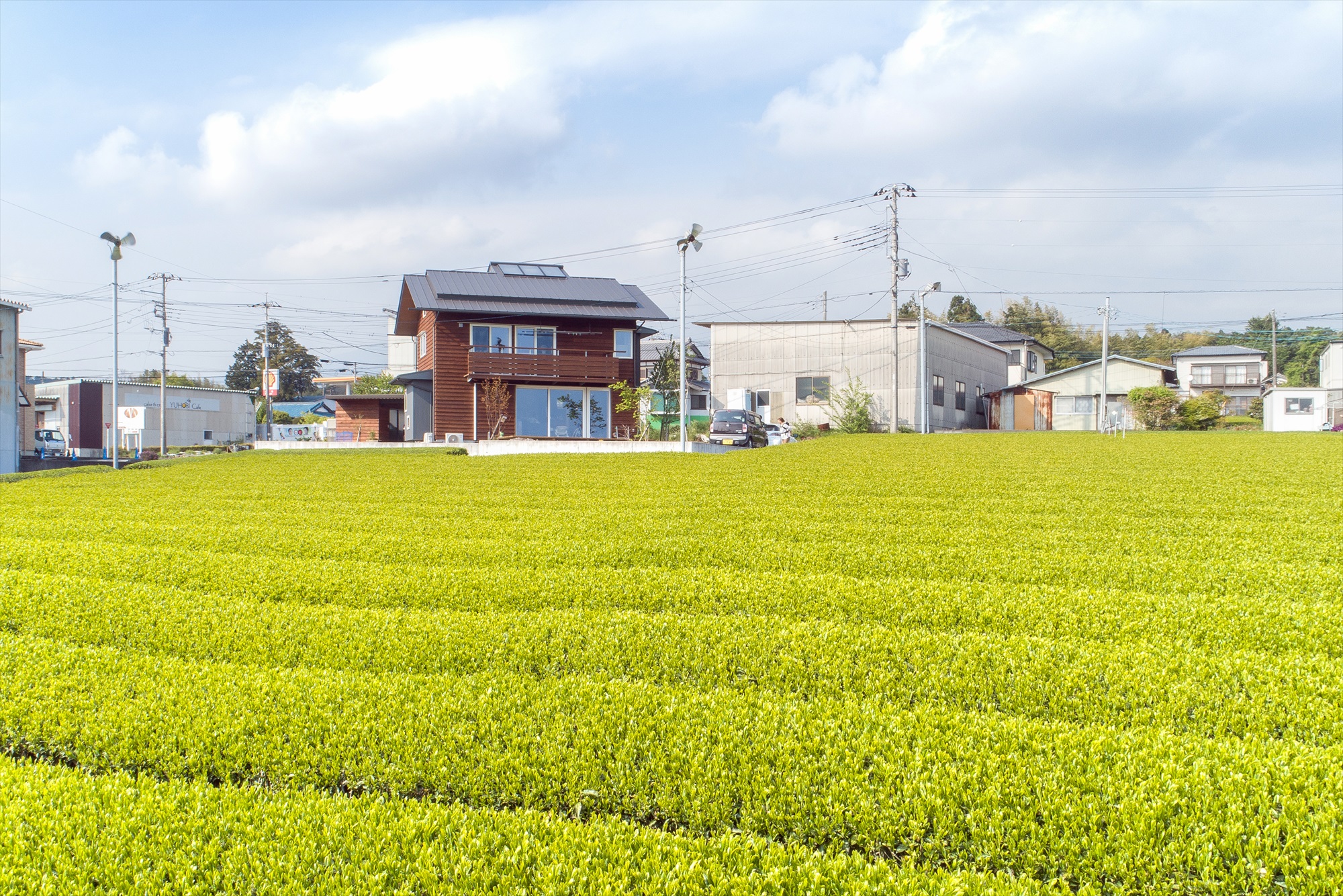 新茶の家