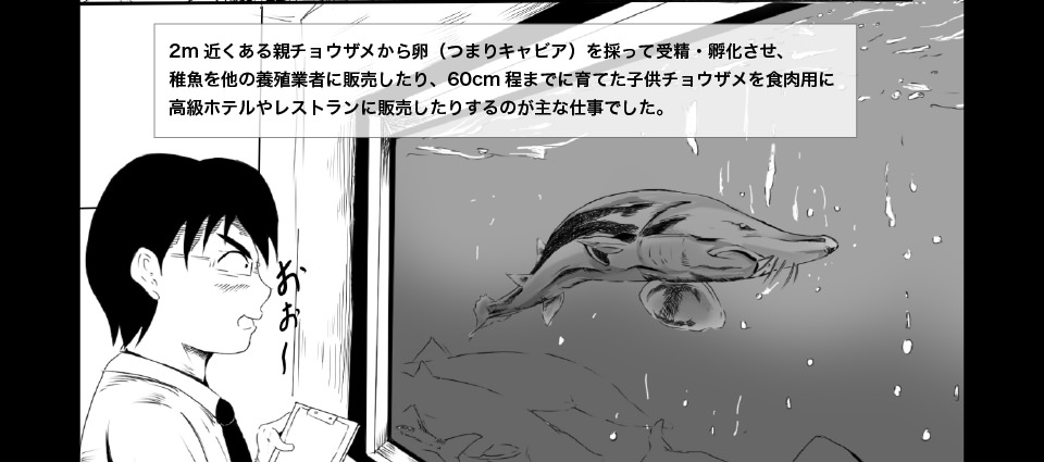 チョウザメの稚魚を販売したり、食肉用にホテルやレストランに販売する仕事だった
