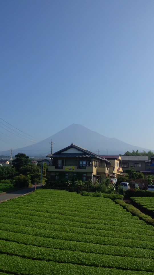 暑さは太陽光線を防ぐしかない