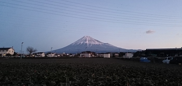 今年の目標