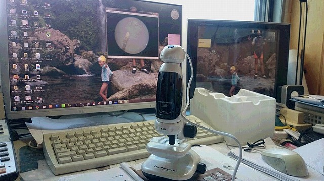 子供の夏休みの研究用に顕微鏡を買ってみた