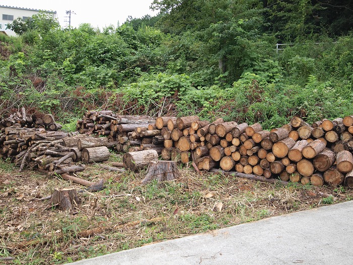 富士宮市新築住宅　薪ストーブの薪