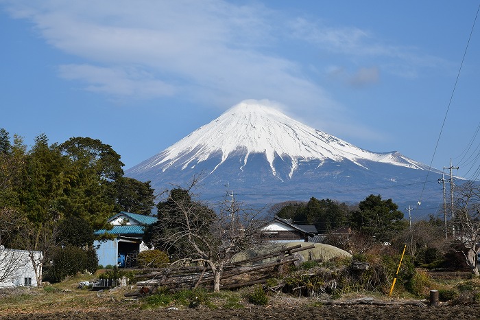 謹賀新年・・・