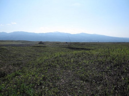 御殿場山菜取り