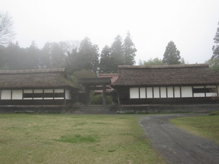 打合せの途中に・・・・・狩宿の下馬桜