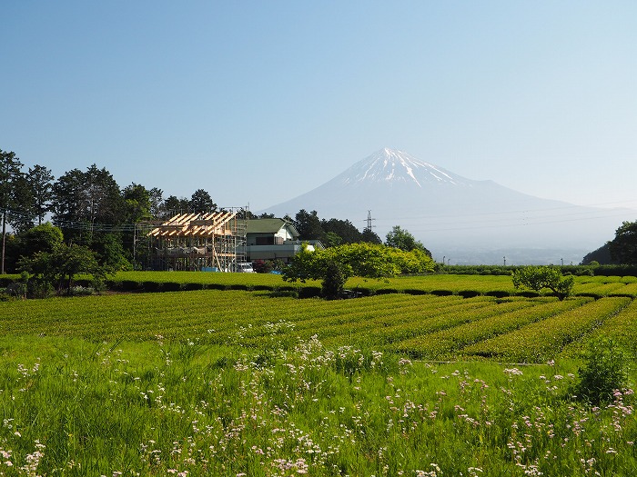 富士宮市　新築住宅と富士山