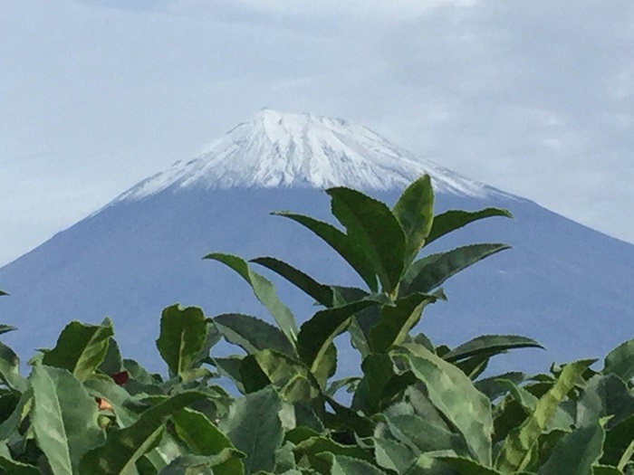 写真の上手な写し方