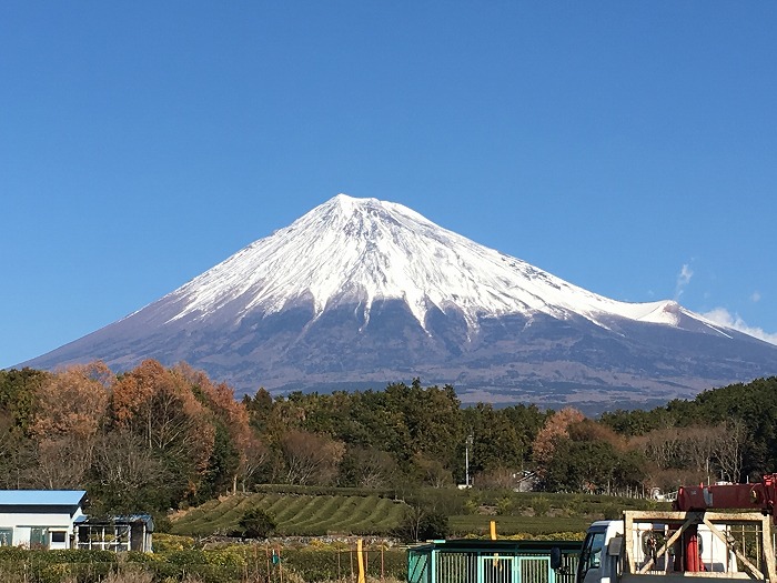 今年もよろしくお願い申し上げます！