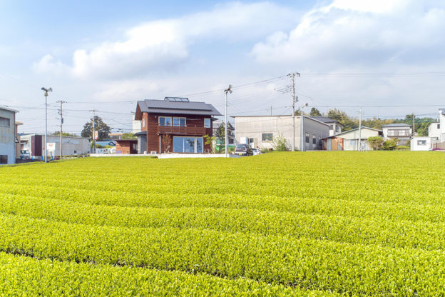 新茶の緑と茶色の木の外壁のコントラストが美しい。