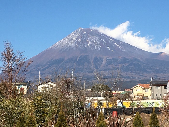 今年もよろしくお願い申し上げます！