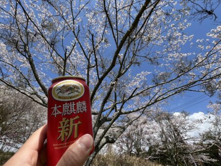 桜？花見？酒だろ