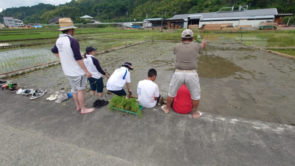 初めての田植え！