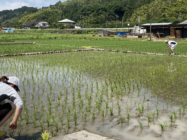 土の感触が癖になってる！