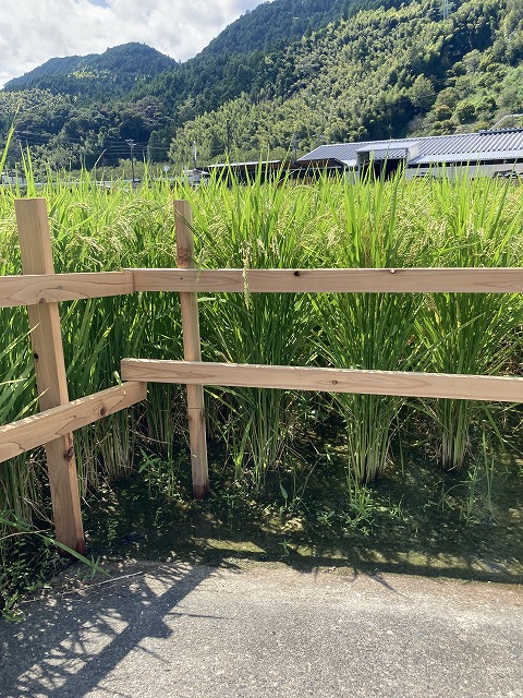 祈るしか・・・
