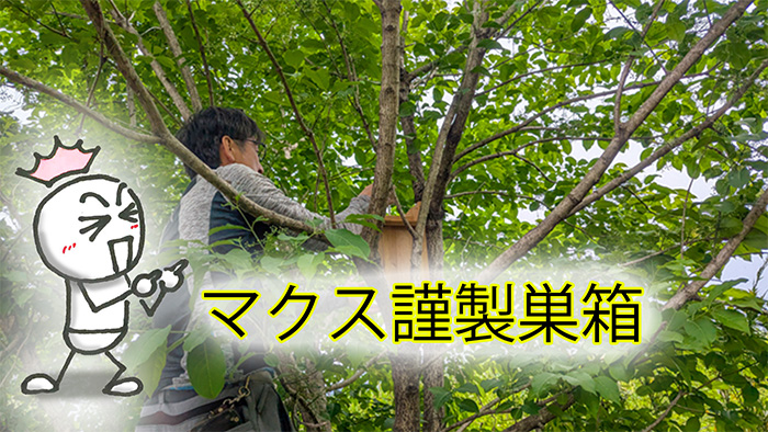 庭に木を植えて巣箱に鳥を呼ぼう