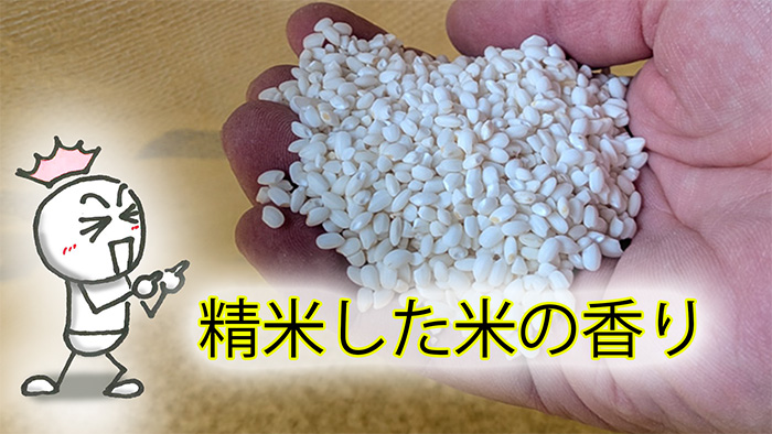 マクス米を精米　マイパッションはわかるまい