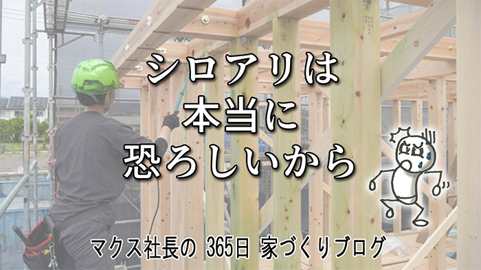 【失敗談】築12年でシロアリ被害！？OB宅の玄関枠で見つけた「一瞬の隙」