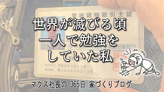 田植えから２週間。台風を乗り越えた青々とした新しい芽