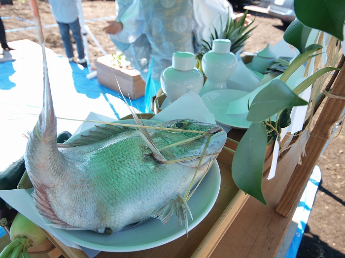 富士宮市 鯛の縛り方