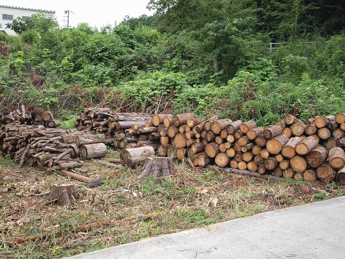 富士宮市新築住宅 薪ストーブの薪