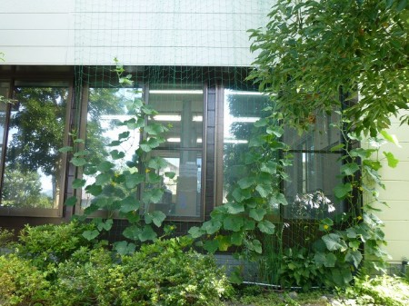 y-150716夏(1)