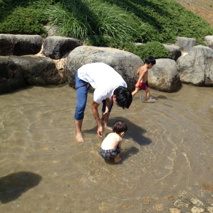 wpid-wp-1439994861424.jpeg
